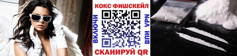 где найти наркотики  Княгинино  COCAIN FishScale 