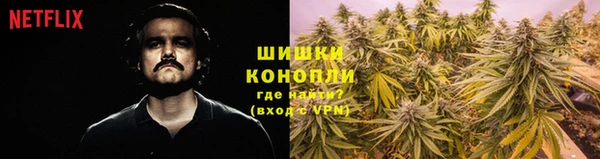 ALPHA PVP Няндома