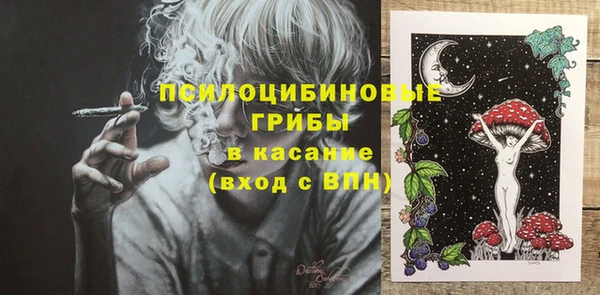 гидропоника Нягань